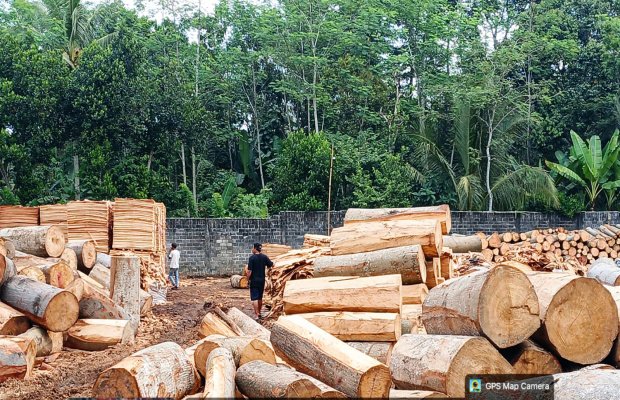 Foto: tumpukan bahan/kayu balok dan tumpukan bahan menyerupai triplek ‎ 
