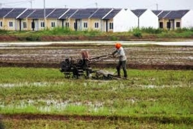 Gambar Ilustrasi Lahan Pertanian Yang Semakin Menyusut Akibat Alih Fungsi