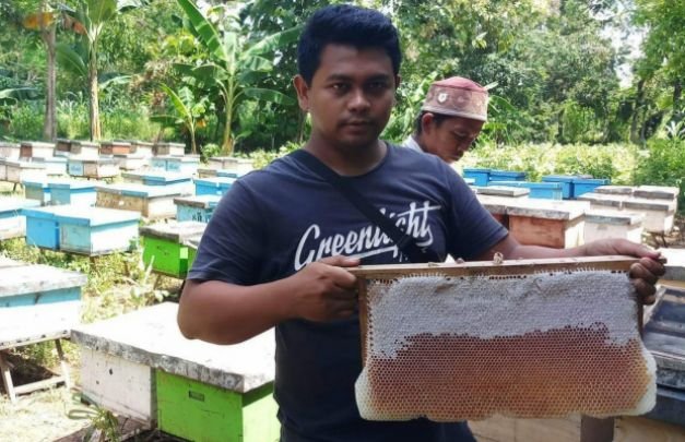 Foto: Moh.Nurdin , peternak lebah asal Dusun Banasare Barat, Desa Banasare