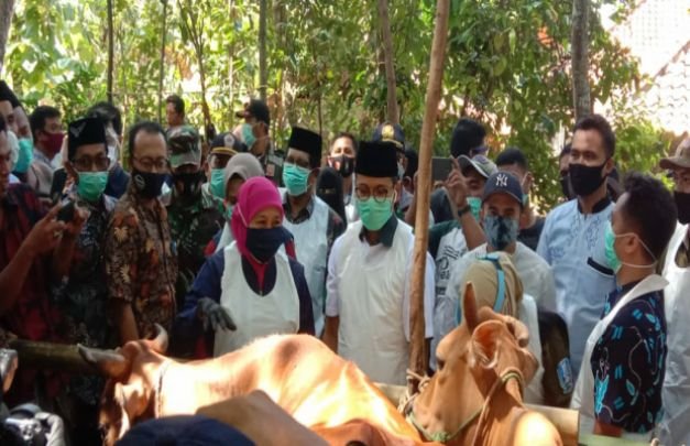 Foto : Gubernur Jawa Timur, Khofifah Indar Parawansa.