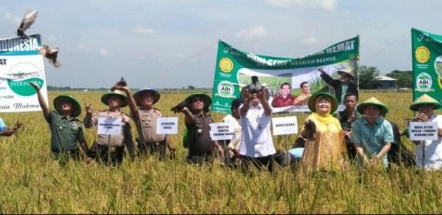 Bupati Bekasi Ikut Hadir Saat Panen Raya Di Lahan pertanian Desa Sukamantri, Tambelang, Selasa (10/4/2018).