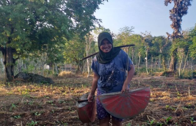 Foto: seorang petani di Sumenep sedang menyiram tanaman tembakaunya di lafang
