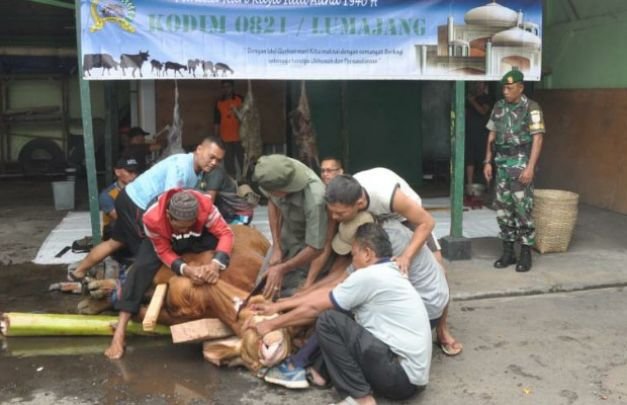 Foto: Penyembrlihan hewan kurban di Makodim 0821 Lumajang