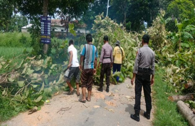 Foto: Polsek Pademawu dan Masyarakat saat membersihkan pohon yang roboh