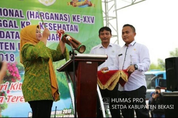 Bupati Bekasi, Neneng Hasanah Yasin