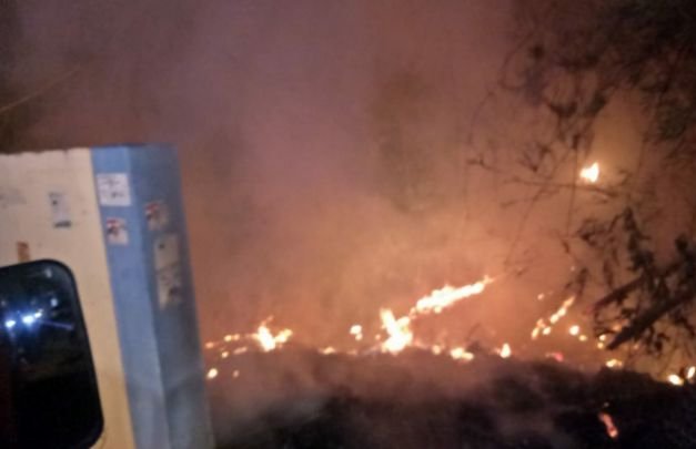 Foto: tampak dari jauh lahan bambu dekat pemukiman warga yang terbakar