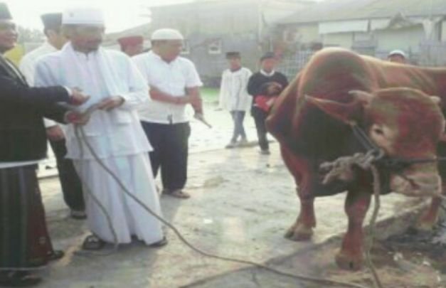 Foto: prosesi penyembelihan hewan kurban