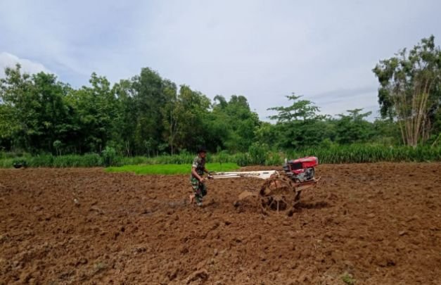 Foto Sertu Mansur Penuh Semangat Saat Garap Lahan Milik Salehuddin