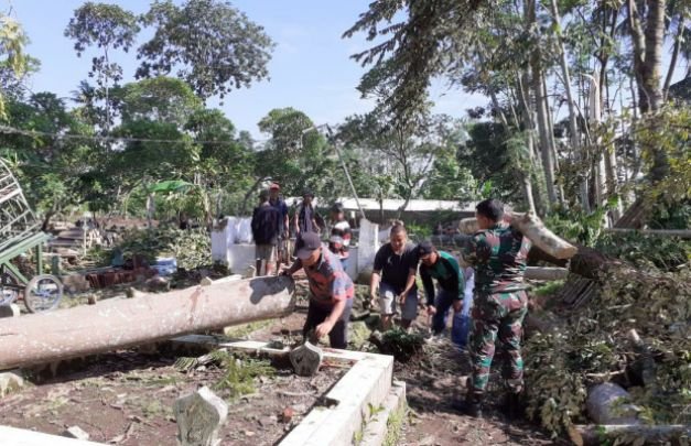 Foto: Evakuasi pohon tumbang di pemakaman umum Desa Kutorenon