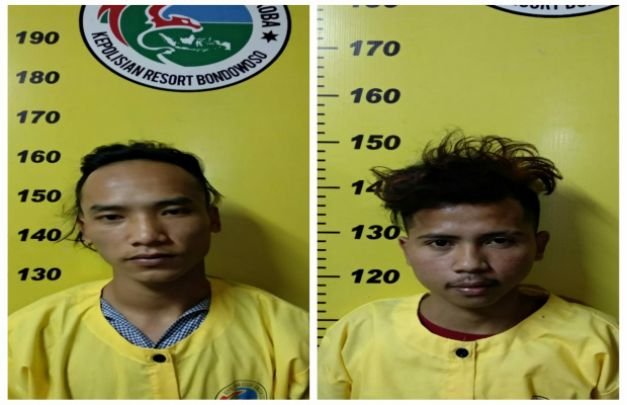 Foto: tersangka pengidar  Pil Koplo Logo Y