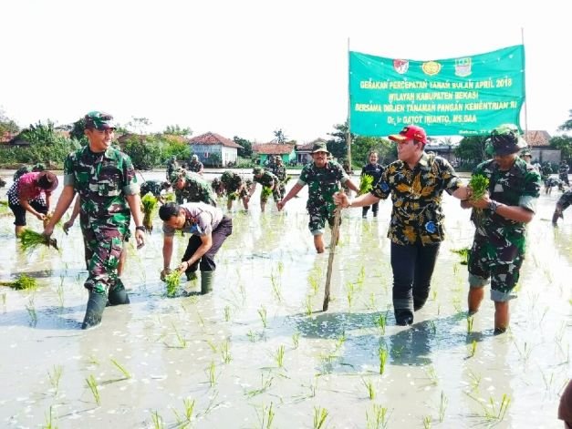 Dirjen Tanaman Pangan Kementan RI, bersama Dandim 0509/ Kab. Bekasi Saat Giat Percepatan Tanam  Padi Di Kedung Waringin Kabupaten Bekasi, Jabar, Jum'at (27/4/2018).