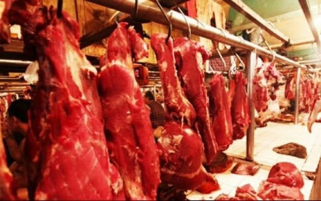 Gambar Ilustrasi Daging Sapi