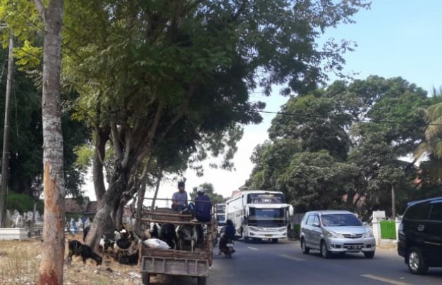 Foto: kondisi jalan nasional di desa pragaan laok sumenep