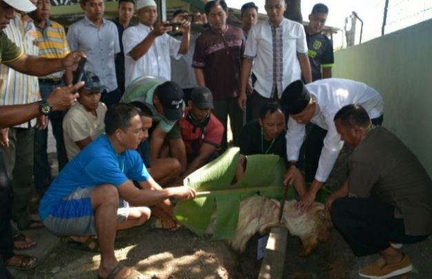 Foto: penyembelihan hewan qurbam di Makorem surabaya