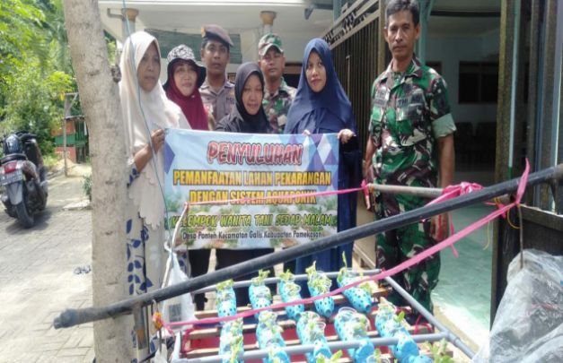 Foto: KWT Sedap Malam Pamekasan Saat tunjukkan Uji Coba Aquaponik