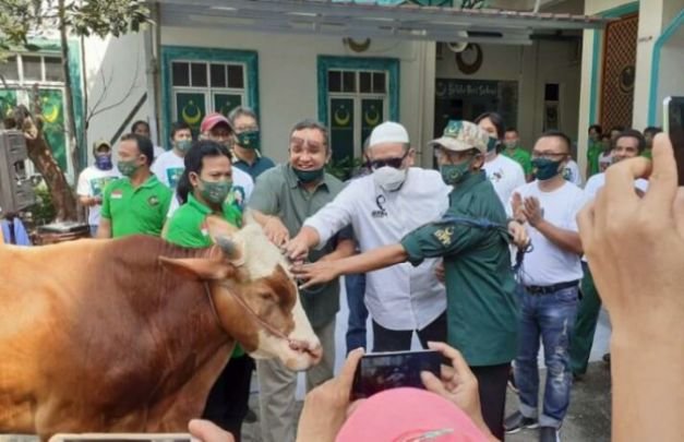 Foto : LaNyalla serahkan hewan kurban ke DPP PBB