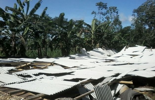 Foto: Reruntuhan Kandang Ayam Ambruk