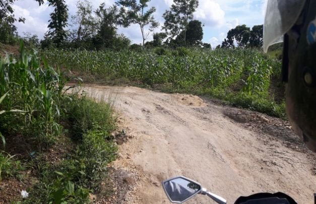 Foto : Akses Jalan Penghubung Dusun yang Rusak Parah