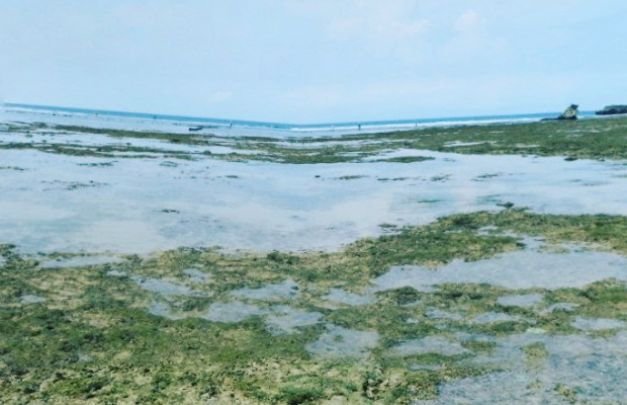 Foto: Pantai Nusa Dua Bali, (sumber google)