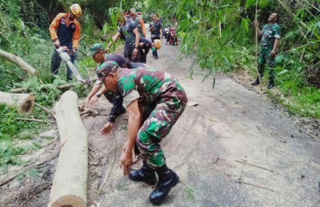 Foto: Petugas gabungan memotong, menepikan kayu yang menutup ruas jalan