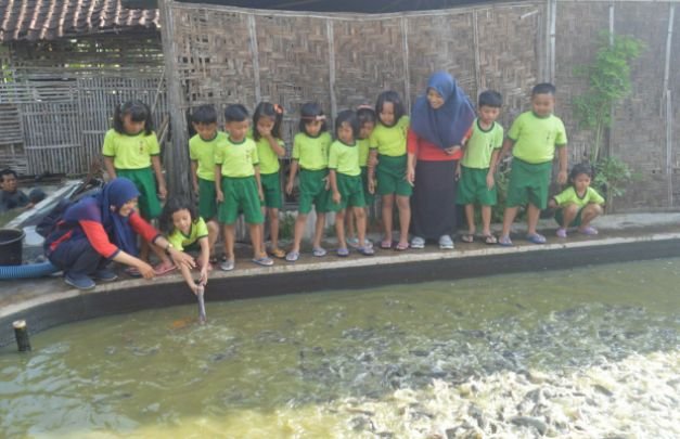 Foto: siswa TK Kartika IX Yonarmed 12 saat dipeternakan lele