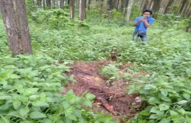 Foto: mayat tanpa identitas yang ditemukan warga ditengah hutan pinus