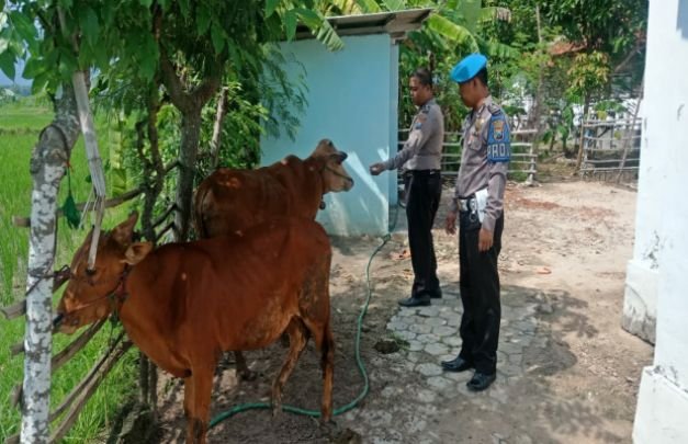 Foto: Dua Petugas Polsek Pademawu Saat di Lokasi  Kebakaran