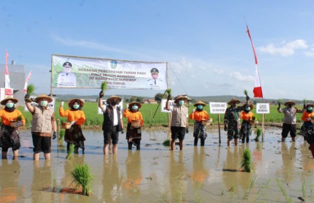 Foto: Petani menggunakan alat mesin pertanian pada musim tanam. (Istimewa)