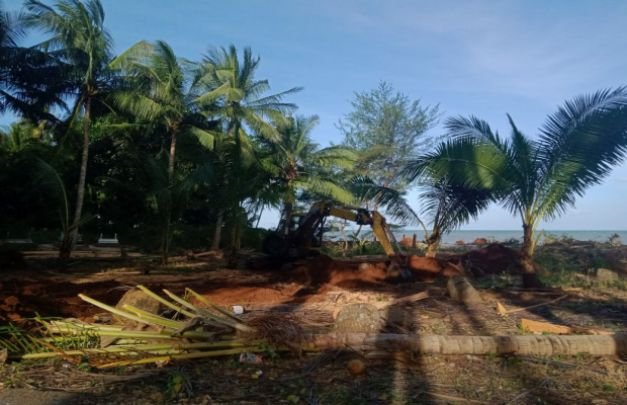 Foto: Berserakan, proses pembuatan lahan tambak di Kecamatan Dungkek