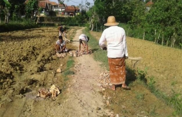 Foto : Warga Tanjung Pegantenan saat Melakukan Perbaikan Jalan yang Rusak Parah