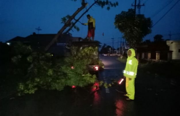 Foto: Proses Pemotongan Pohon Tumbang Yang Menghalangi Jalan Raya Oleh Anggota Polsek Pademawu