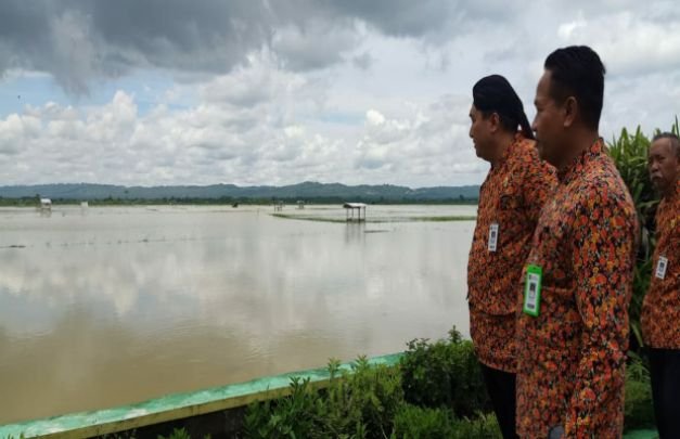 Foto: Dinas Pertanian Sumenep saat meninjau tanaman padi yg terendam banjir