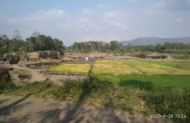 Foto: Dam truk mengambil tanah dan pasir di persawahan yang dijadikan lokasi galian C