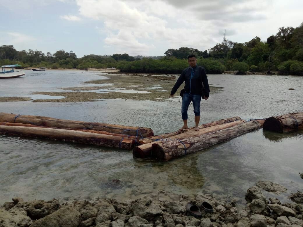 Foto: Kayu gelondong yang diduga hasil ilegal logging