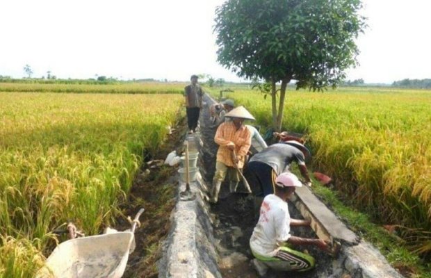 Foto: Sejumlah pekerja saat mengerjakan proyek irigasi