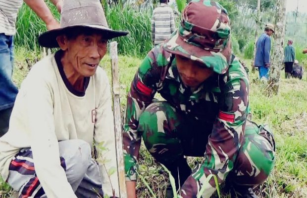 Foto:Penanaman akan terus dilakukan bertahap dalam waktu kedepan