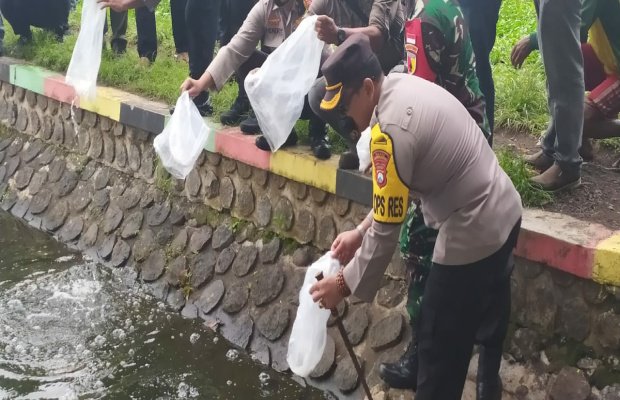 Foto: Penebaran benih ikan dilakukan bersama - sama