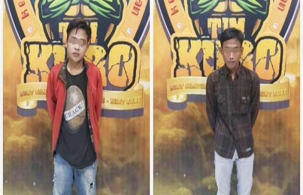 Foto : Dua tersangka saat diamankan di Satreskrim Polres Lumajang.