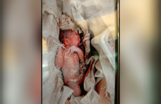 Foto: Bayi merah yang ditelantarkan dibawah Pohon Jati di Dusun Guder Daja, Desa Nyamplong, Sepudi