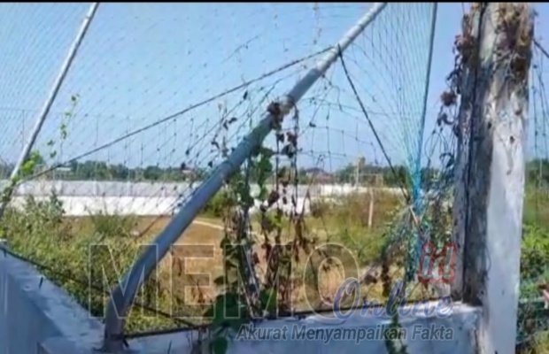 Foto : Lapangan futsal di Desa Dharma Camplong diduga dibangun asal asalan