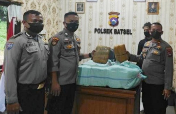  Foto : Polsek Batipuh Selatan saat menunjukkan BB (barang bukti) Ganja 25 kg 