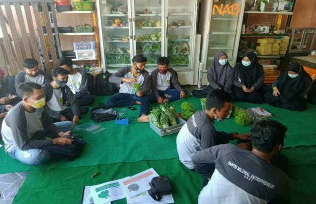 Foto: 15 orang pemuda saat mengikuti pelatihan budidaya tanaman hidroponik