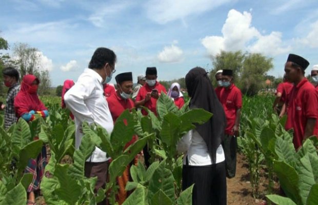 Foto: (Dok) Kegiatan Sekolah Lapang yang diselenggarakan di Desa Gadu Timur, Kec. Ganding beberapa waktu lalu