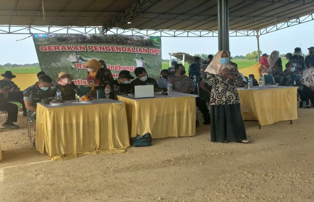 Foto: Acara Gerakan Pengendalian OPT di Sumenep