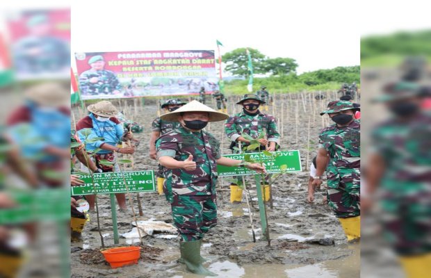   Foto : Penanaman Mangrove bersama Kasad Dudung