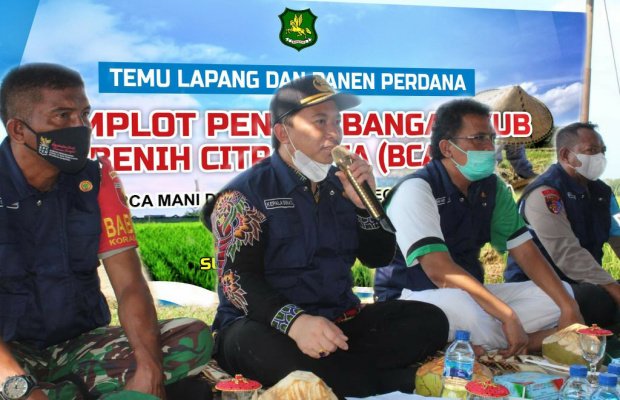Foto: Arif Firmanto, Kepala DKPP Sumenep saat acara Temu Lapang dan Panen Perdana Padi Demplot Pengembangan VUB