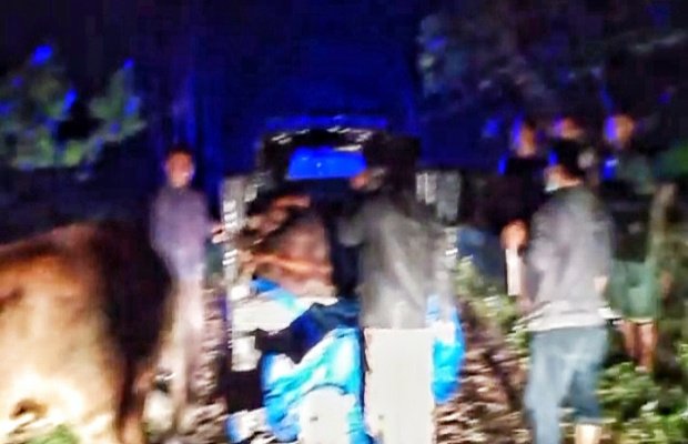 Foto : Lokasi sapi diamankan, di Desa Wonoayu Kecamatan Ranuyoso, semalam.