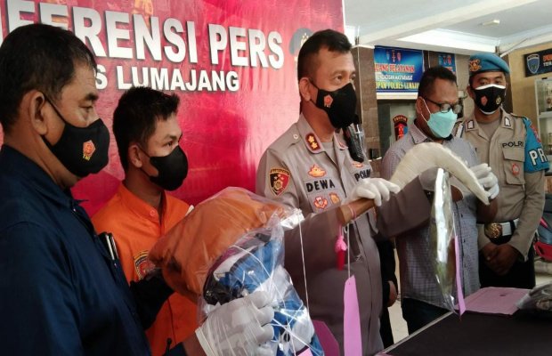 Foto : Kapolres Lumajang saat pimpin konferensi pers, didampingi Kanit Pidum Satreskrim Polres Lumajang dan Kasi Humas