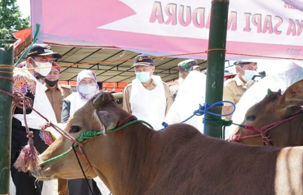 Foto: Bupati Sumenep, Ach. Fauzi, saat meninjau vaksinasi perdana, di Desa Pangarangan Kecamatan Kota