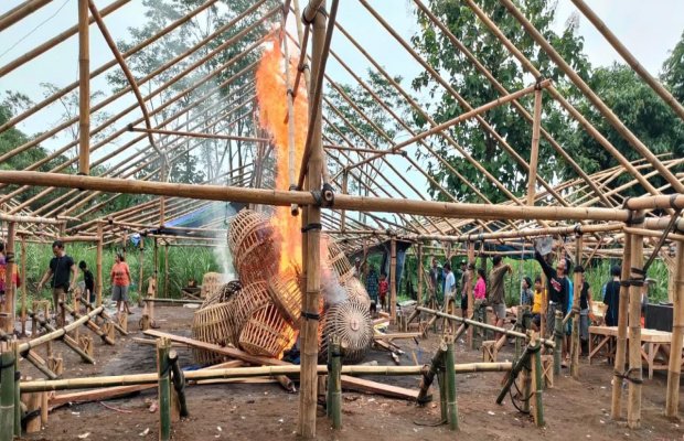 Foto : Bekas arena sabung ayam dimusnahkan